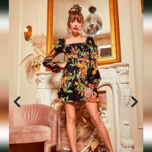 💚3xHP💚NWT Autumn Adeigbo Catira Dress Empire Waist Fit and Flare Mini Floral